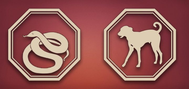 Совместимость Собака-Змея: характер и совместимость