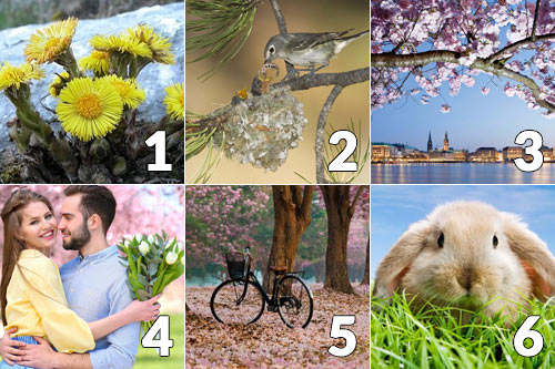 Гадание по картинке: как изменится ваша жизнь в апреле-2019?