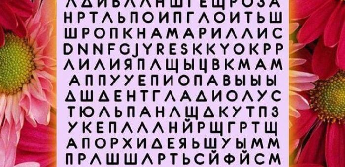 Тест личности: название какого цветка вы увидели и прочитали первым