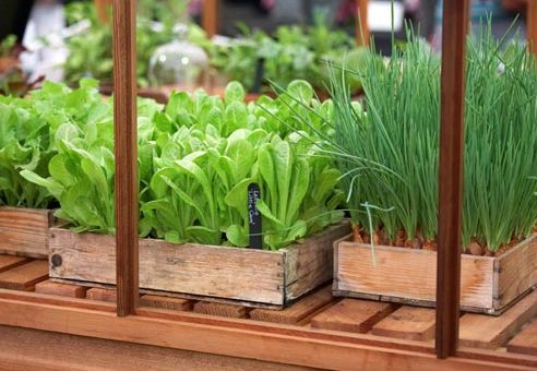 Лунный календарь садовода и огородника на апрель 2019 года - чтобы получить отменный урожай!