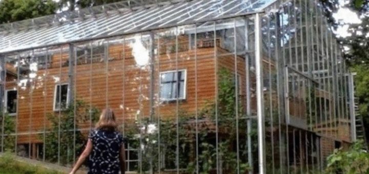Пара из Швеции построила вокруг дома теплицу: экономит и на еде, и на тепле