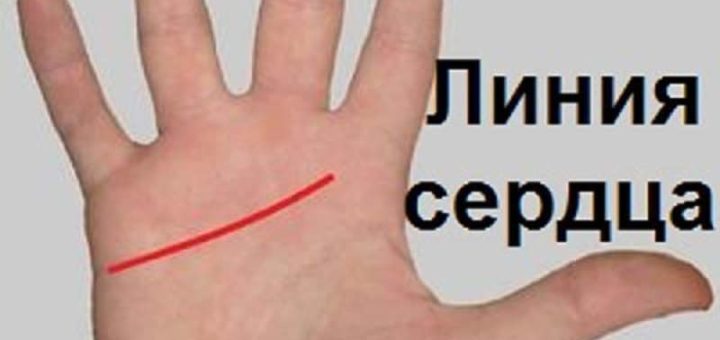 Линия сердца на ладони: значение, фото, расположение и форма