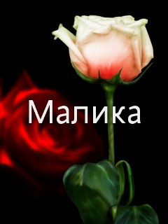 Как выбрать характер и судьбу для девочки - особенности имени Малика