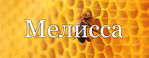 Мелисса - значение имени, личность, черты характера и судьба