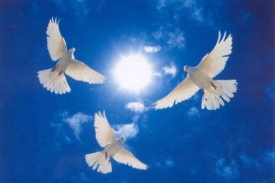 Приметы и поверья на Вознесение