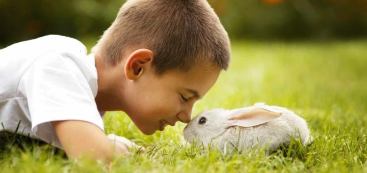 Значение независимого имени Эмир - характер, судьба и любовь