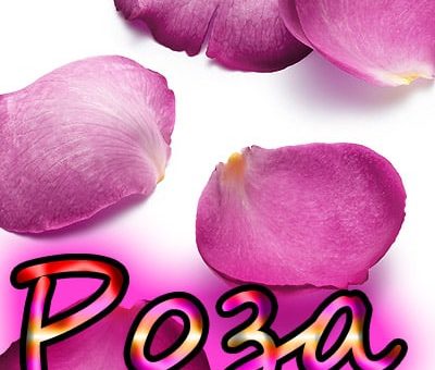 Имя Роза - как устроить судьбу для девочки, какой окажется характер