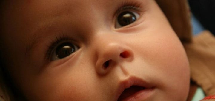 Значение властного имени Аслан - судьба, характер и карьера