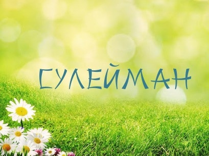 Загадка Сулеймана: судьба, характеристика, значение имени