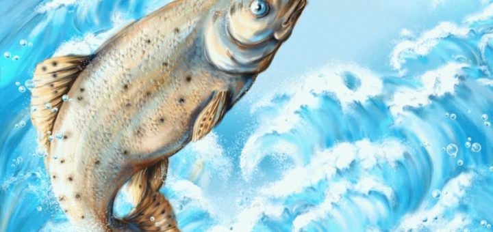 Что значит поймать большую рыбу во сне?