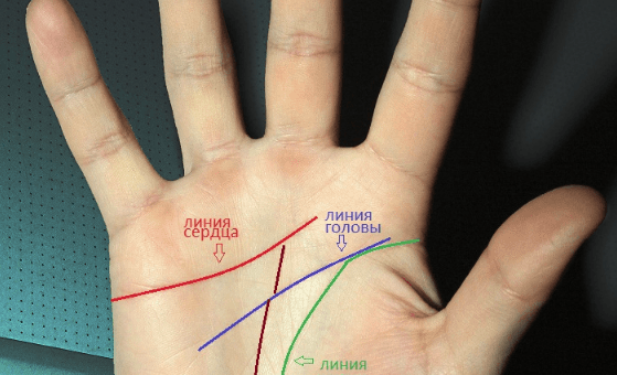 Линии на руке — определение судьбы с помощью хиромантии