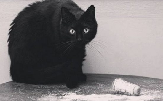 Знаки беды и несчастья: как отвести от себя плохие приметы