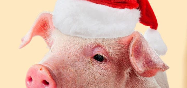 Фен-шуй прогноз на 2019 год