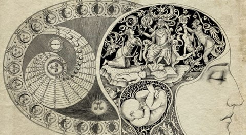 Что такое френология, и каковы её основные понятия