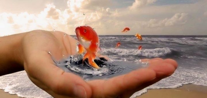 Техники исполнения желаний - правила и рекомендации