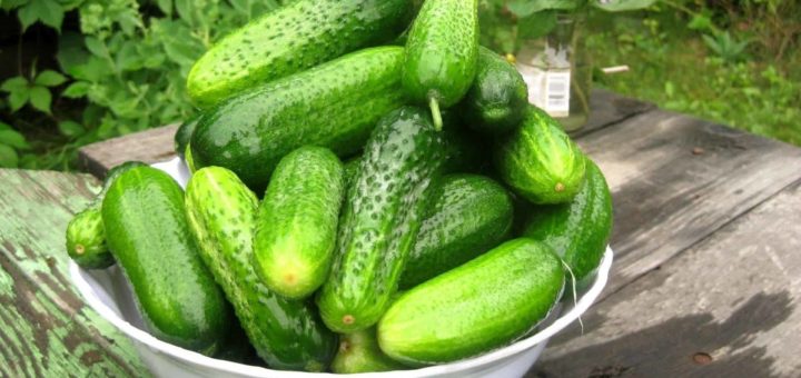 К чему снятся огурцы - онлайн сонник