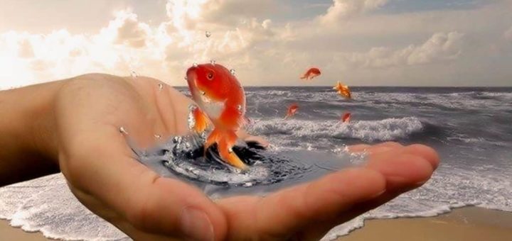 Материализация мыслей и желаний - особенности и нюансы формулировки