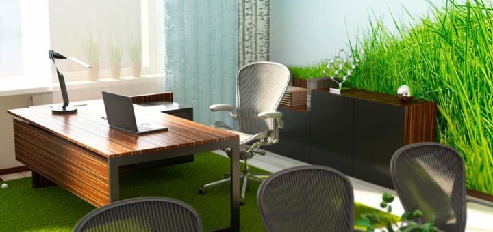 Фэн-шуй офиса: подготовительный этап, как выбрать место