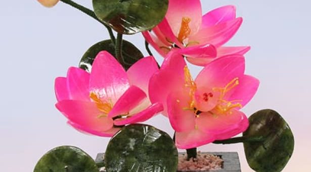 Цветы в доме по фен-шуй: виды комнатных растений и их значения