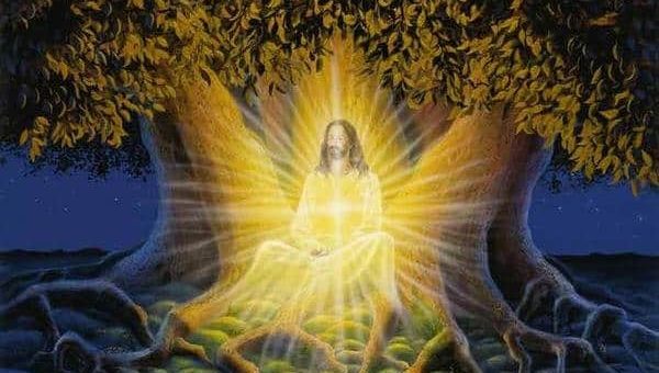 Денежная медитация "Волшебное дерево" - зарядка талисмана