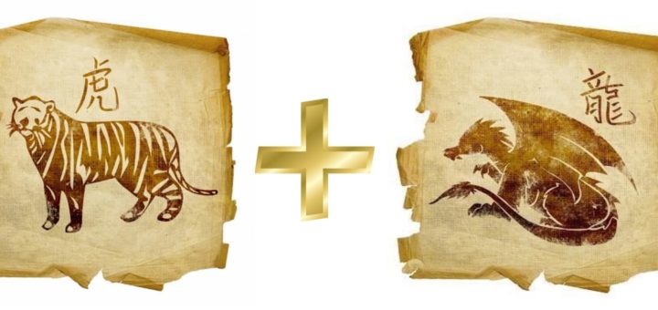 Совместимость Дракона и Тигра