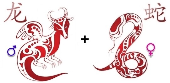 Совместимость Дракона и Змеи