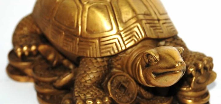 Талисманы фэн-шуй: размещение по секторам, как правильно подобрать