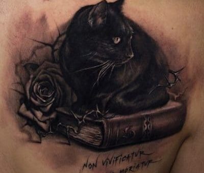 Что означает тату кошки и где её лучше разместить