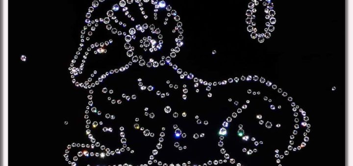 Предсказания Ванги на 2019 год по знакам Зодиака