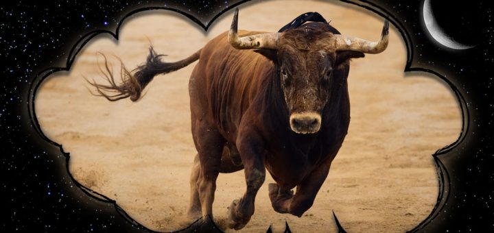 К чему снится бык - по сонникам