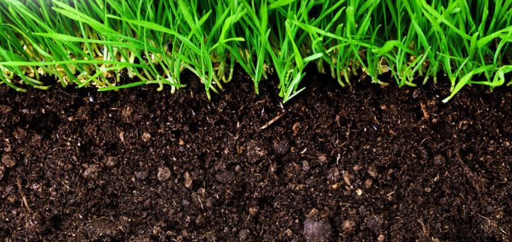 К чему снится земля - толкование по сонникам