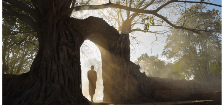 Как вспомнить прошлую жизнь