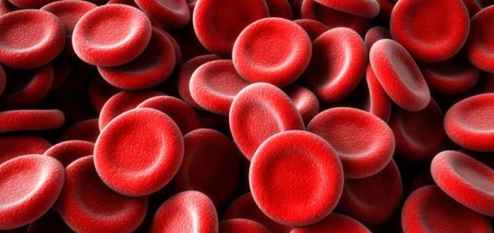 К чему снится кровь - толкование по сонникам