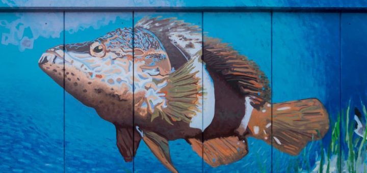 К чему снится есть рыбу во сне