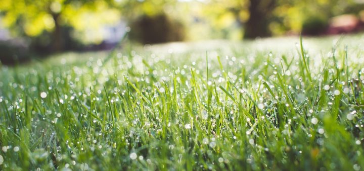 Праздники 30 мая 2019 года