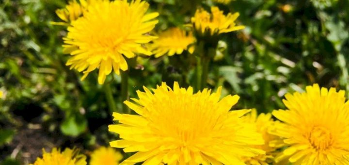 Праздники 23 мая 2019 года