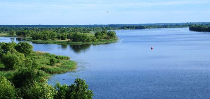 Праздники 20 мая 2019 года