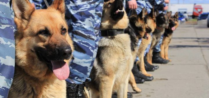 Праздники 21 июня 2019 года