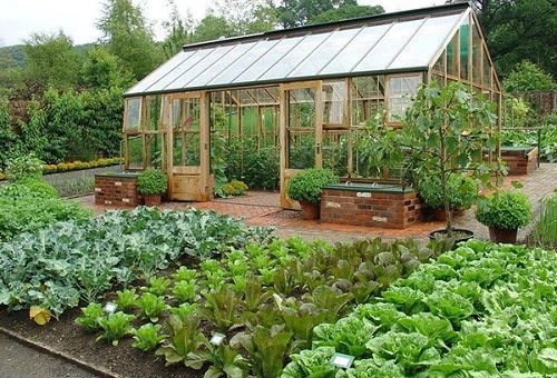 Лунный календарь садовода и огородника на июнь 2019 года - пусть урожай будет отменным!