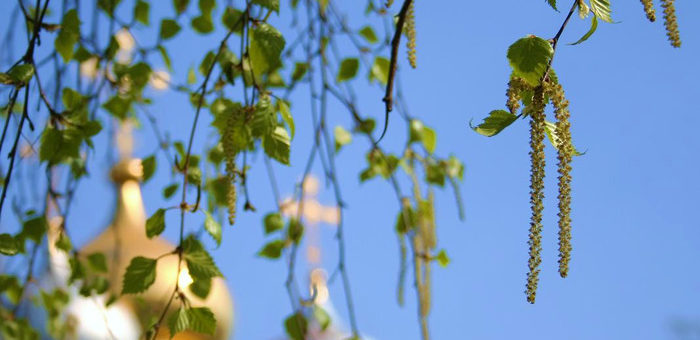 Троица: смысл праздника, что можно и нельзя делать в этот день