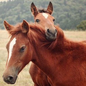 Праздники 13 июня 2019 года