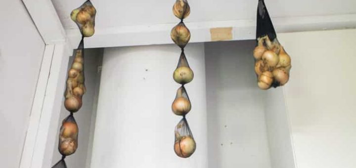 25 советов о том, как правильно хранить продукты