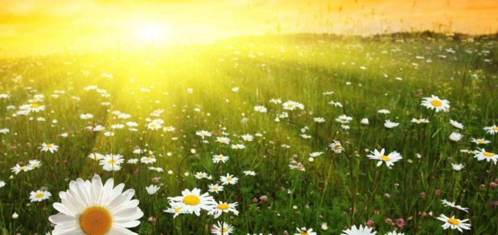 Праздники 5 июля 2019 года