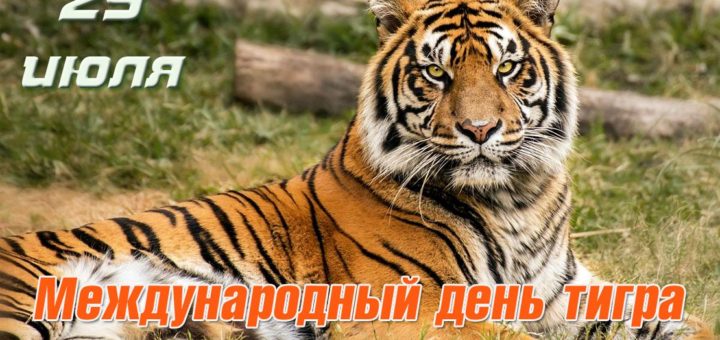 Праздники 29 июля 2019 года