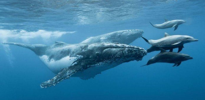 Праздники 23 июля 2019 года