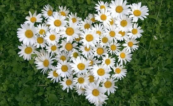 Праздники 8 июля 2019 года