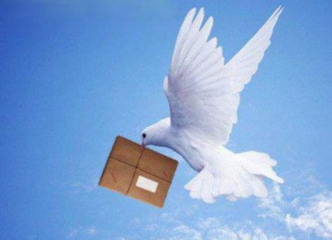 Праздники 14 июля 2019 года