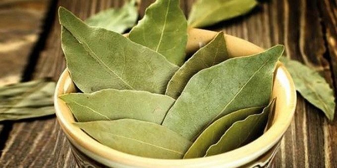 Лавровый лист, чеснок и еще 5 сильнейших талисманов, которые есть у вас на кухне