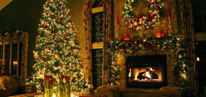 2023 год какого животного? Как встретить Новый 2023 год так, чтобы он прошёл удачно