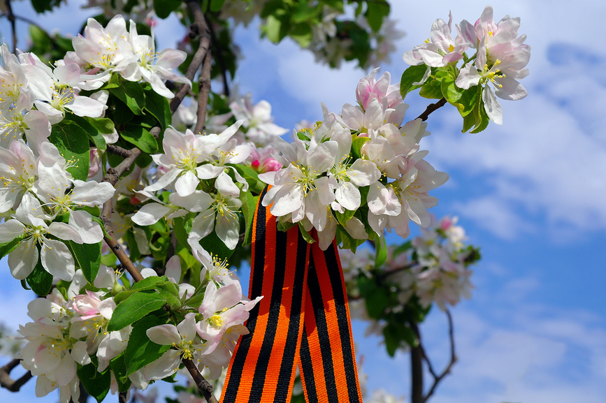 Гороскоп на май 2023 года для всех знаков зодиака